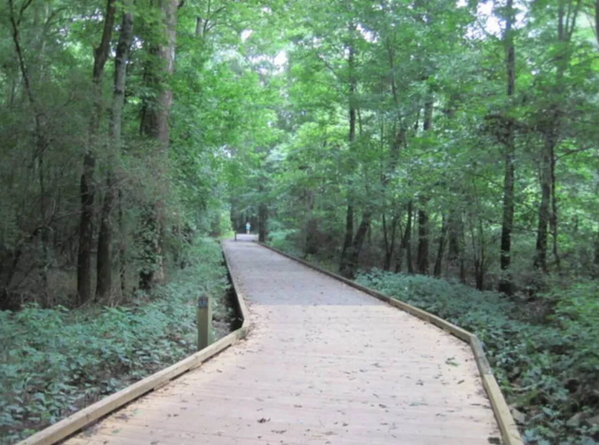A wooden boardwalk meanders through lush greenery, hinting at a peaceful neighborhood walking trail. A distant figure strolls along the path, emphasizing the opportunity for nature walks and outdoor exploration just beyond the backyard.